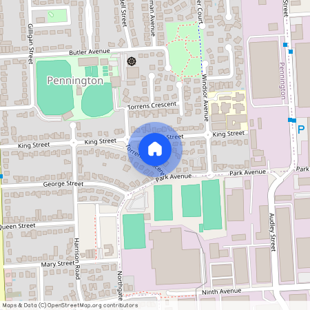 8 Torrens Crescent, SA 5013, Pennington