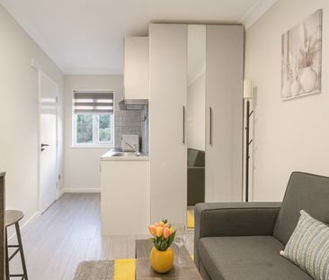 Studio Flat, Creswick Road, W3 - Photo 6