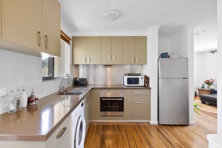 Updated Red Hill Apartment - Photo 5