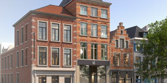 Vismarkt 10 / 0203, 3000 Leuven - Photo 3