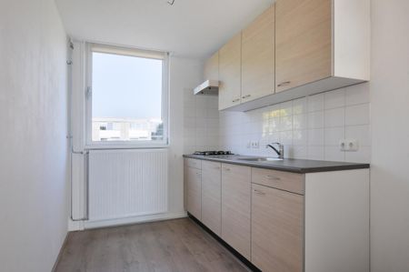 Malvert 8632 - Photo 3