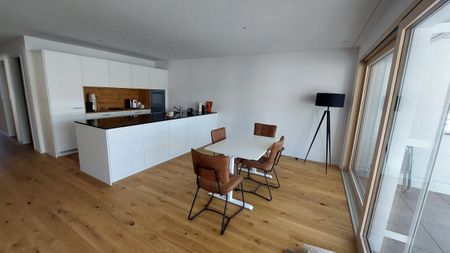 Wohnen und Erholen in Sörenberg "nur als Erstwohnsitz zulässig" - Photo 4