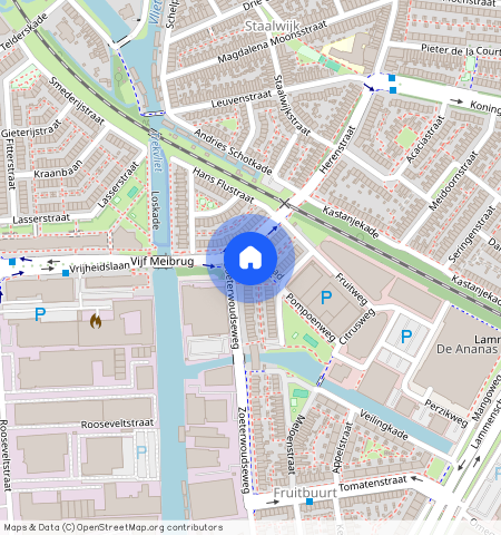 Leiden, 2321DL, Vrijheidslaan