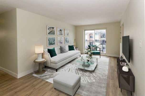 One Bedroom Apartment - Photo 1