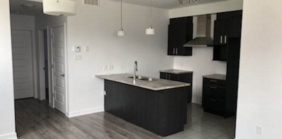 Appartement 1 Chambre + Sdb / 1 Bedroom - Photo 2