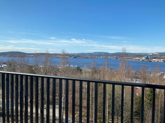 Järvstagatan, Örnsköldsvik - Foto 1