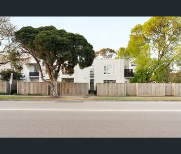5/141 Centre Road, Brighton East, Vic 3187 - Photo 5