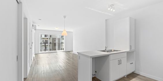 Logement 3 1/2 DEN+PISCINE INCLUS - Photo 3