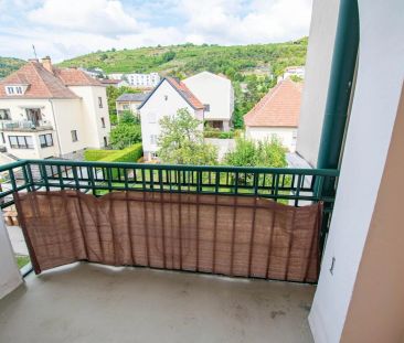 Mietwohnung in Toplage - nahe Uni und Altstadt - Foto 3