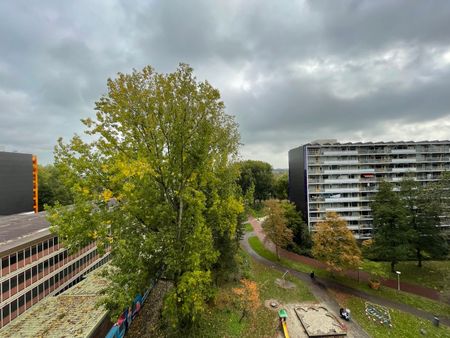 Schipmolen 59, Molenwijk, 1035CH, Amsterdam - Foto 3