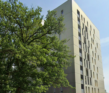 Location Appartement 3 pièces 59m² ST HERBLAIN 44800 - Photo 3