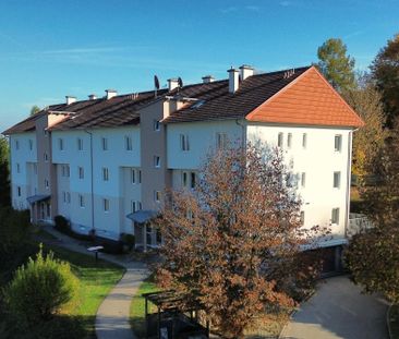 Sonnige Terrassenwohnung in saniertem Wohnhaus - Photo 4