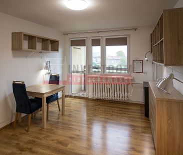 Mieszkanie do wynajęcia Opole, Centrum, 2 pokoje, 42m - Photo 3