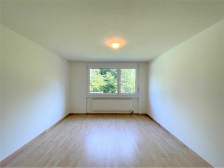 MFH Reuttistrasse 8, Wil - Photo 3