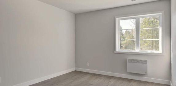 2 CH - 2 SDB - Sherbrooke - $1,450 /mo - Photo 2