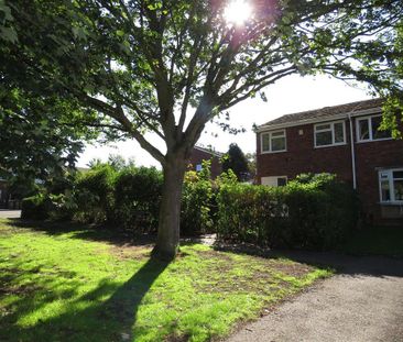 3 bedroom semi-detached house to rent - Photo 3