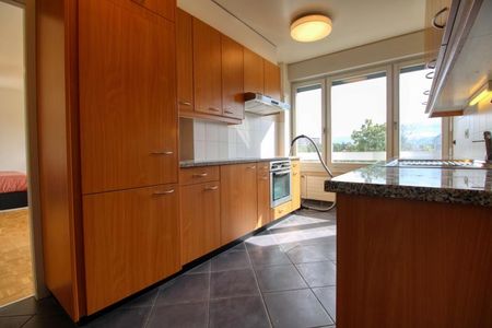 Cecil #3 - Spacious and Modern Coliving in Grand-Saconnex, Geneva - Photo 2