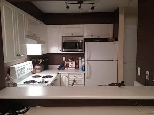 $1200 / 1br – 683ft2 – Spacious One Bedroom Condo in Queen Mary Park (Surrey) - Photo 4