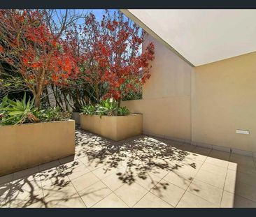 Bright Beachside Studio in the Heart of Bondi - Photo 3