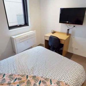 1 Bedroom Large - Photo 2