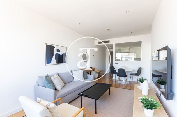 Monthly rental apartment with 1 bedroom, dressing room, and 1 bathroom in Salamanca - Foto 1