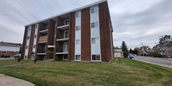 145 Rue Larose (Hull) Grand Logement Tout Près D'Ottawa - Photo 3