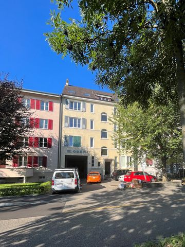 Grossbasel MFH Birsstrasse - Foto 3