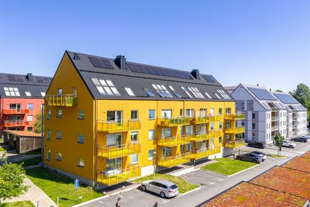 Sagogatan 1A - Foto 2