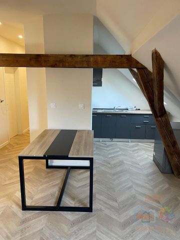 À louer : Chambre dans appartement 5 pièces à Strasbourg, Krutenau ! - Photo 4