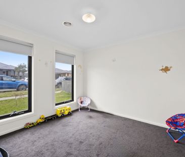 16 Dahlia Street, Bonshaw - Photo 6