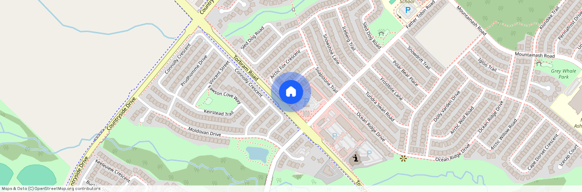 20 Arctic Fox Crescent Unit# BSMT, Brampton