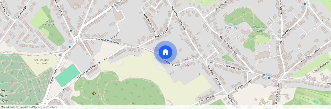 Rue Gaillard Cheval, 52, 11, 4041, Vottem