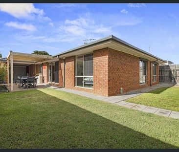 Spacious 4-Bedroom Home with Studio and Enclosed Yard! - Photo 1