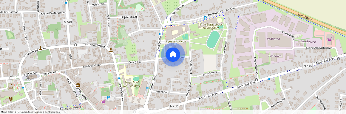 Sint Jobstraat, Peer, 3990