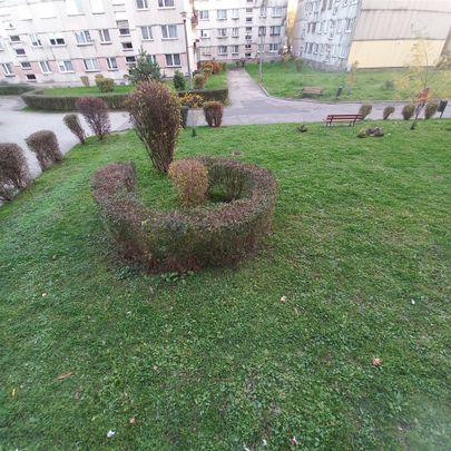 Czeladź, Centrum - Zdjęcie 1