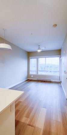 $1,650 / 1br - 549ft2 - New, Cat-Friendly 1 Bedroom Apartment - Photo 1