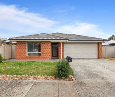 SPACIOUS FAMILY HOME IN PRIME ALFREDTON LOCATION - Photo 6