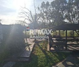 Μονοκατοικία για ενοικίαση - Θερμαϊκός, - Photo 5