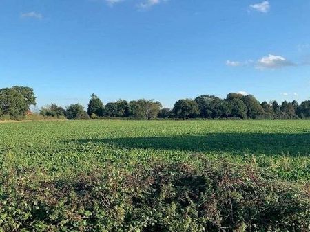 North Walsham, NR28 - Photo 5