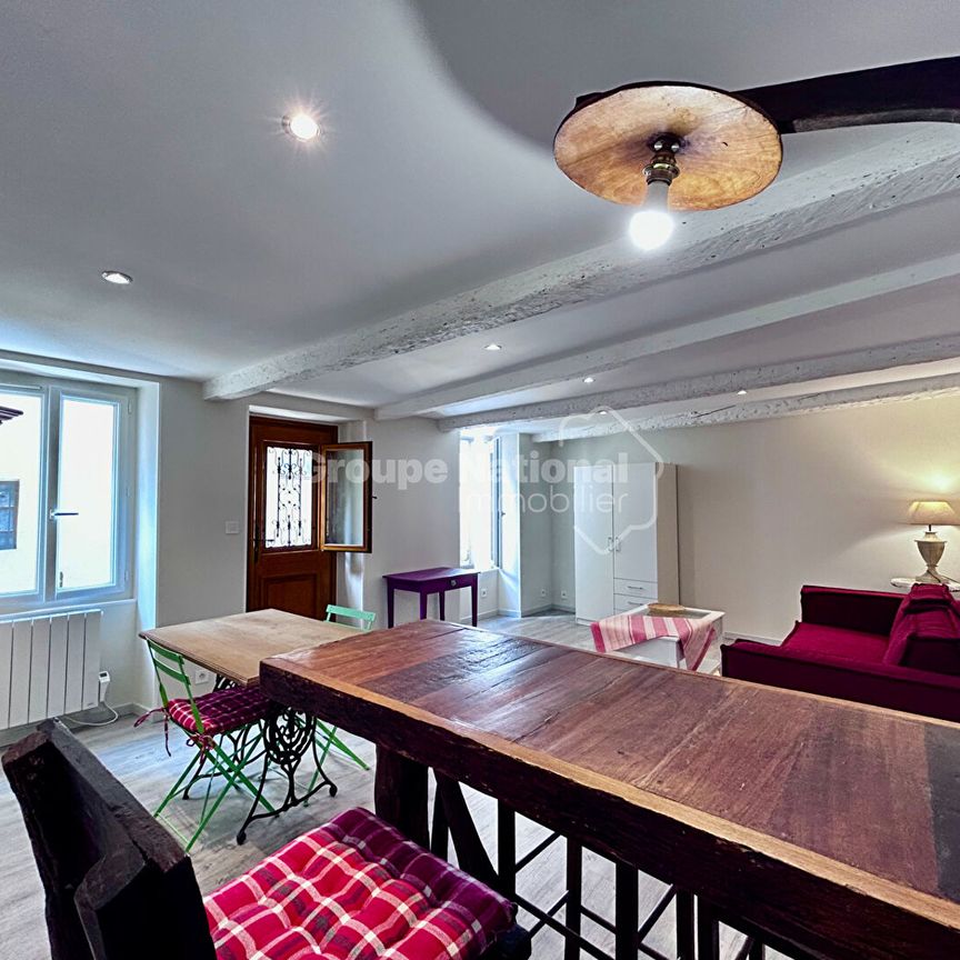 A LOUER à Chateauneuf Du Pape T1 meublé 32 m2, - Photo 1