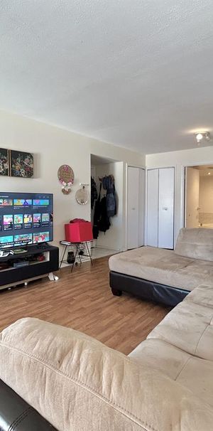 Antoine-du Verdier Appartement 4 ½ à Louer Sainte-Foy / Sillery Juillet 2026 - Photo 1