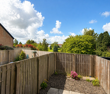 1 bedroom house to rent - Photo 4