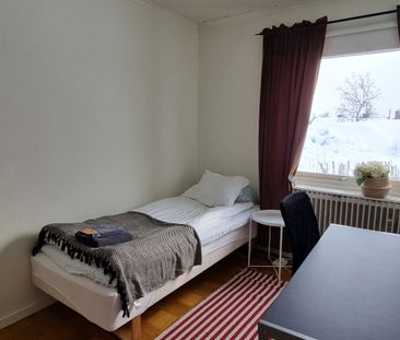 Frostvägen, Kiruna - Foto 5