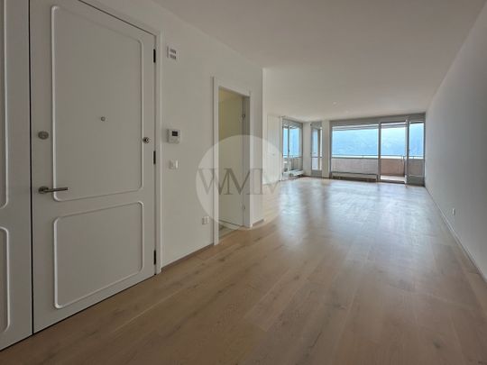 REFINED RENOVATED APARTMENT WITH STUNNING LAKE VIEW - Foto 1