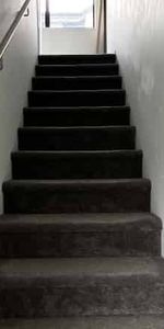 ONE WEEK RENT FREE! - Photo 4