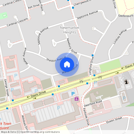 26 Walter Avenue Unit# Lower, Newmarket