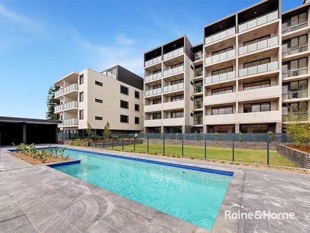 503/165 Frederick Street, Bexley, NSW 2207 - Photo 5