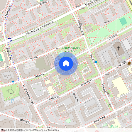 ul. Dzielna, Nowolipki, Wola, Warszawa, mazowieckie