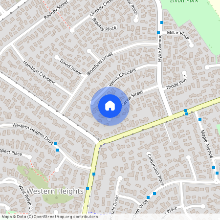 Nawton, 24 Carew Street, Hamilton