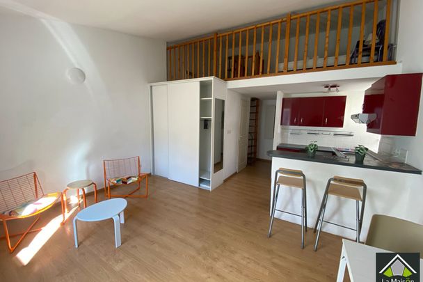 STUDIO MEUBLE de 31 m² AVEC MEZZANINE - CENTRE VILLE - Photo 1
